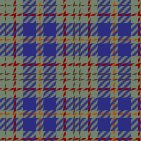 DO/6 N10 DB44 N24 DR8 N26 T4 N/16 tartan Tartan detail