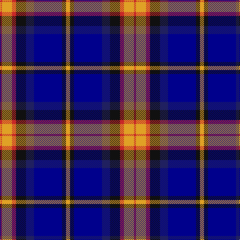 R/4 Y20 R8 K20 DBa16 DB56 K8 Y/8 tartan Tartan detail