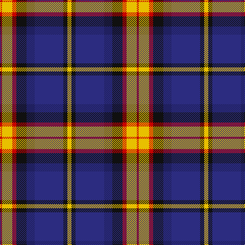R/4 Y20 R8 K20 DBa16 DB56 K8 Y/8 tartan Tartan detail