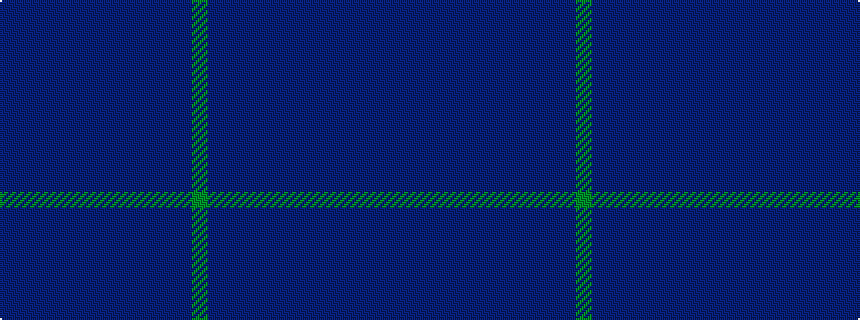 idealised woven sample of pattern BBBBBBBBBBBBG