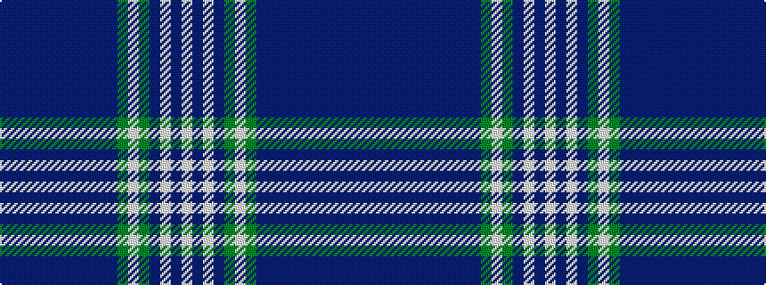 idealised woven sample of pattern BBBBBBBBBBBGWGBWBW
