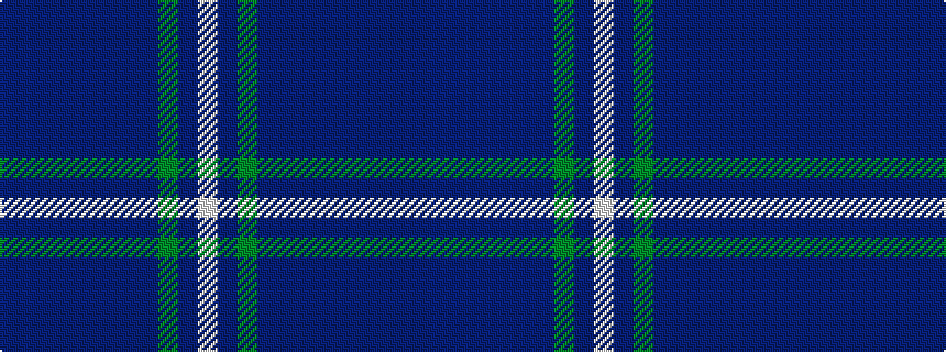 idealised woven sample of pattern BBBBBBBBGBW