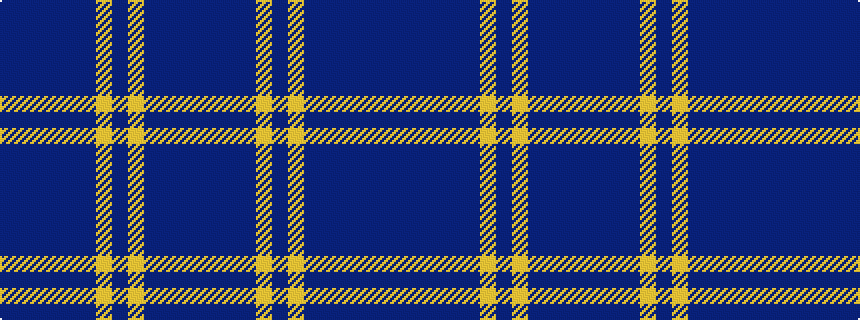 idealised woven sample of pattern BBBBBBYBYBBBB
