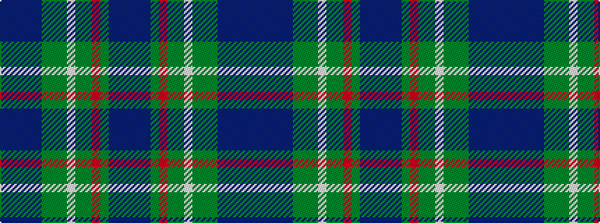 idealised woven sample of pattern BBBBBGGGWGGRGBBB