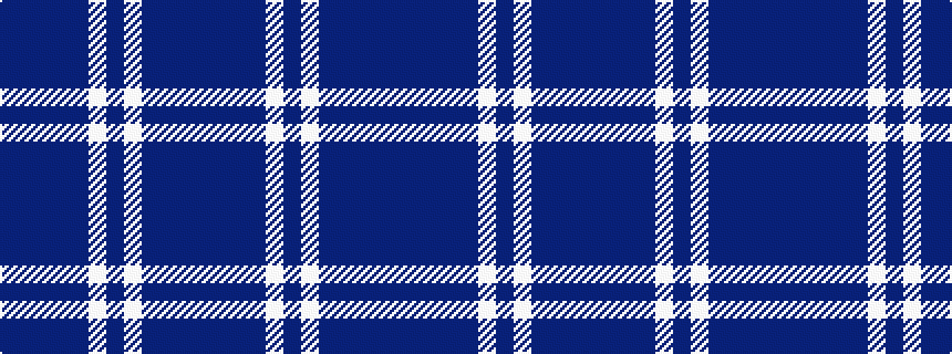 idealised woven sample of pattern BBBBBWBWBBBB