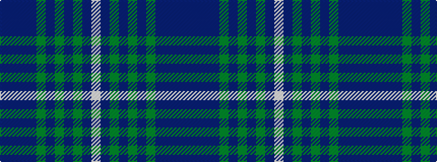 idealised woven sample of pattern BBBBGBGBGBW