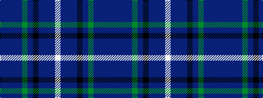 idealised woven sample of pattern BBBBGBKBBBW