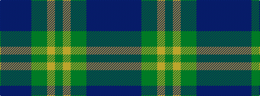 idealised woven sample of pattern BBBBGGYG