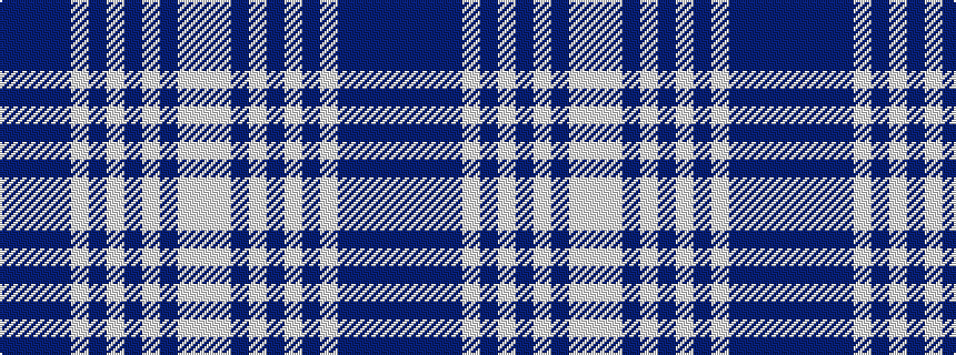 idealised woven sample of pattern BBBBWBWBWBWW