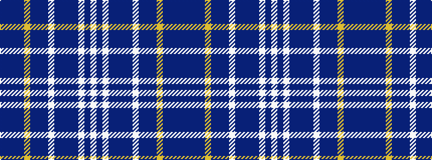 idealised woven sample of pattern BBBBYBBBWBBBBWBW