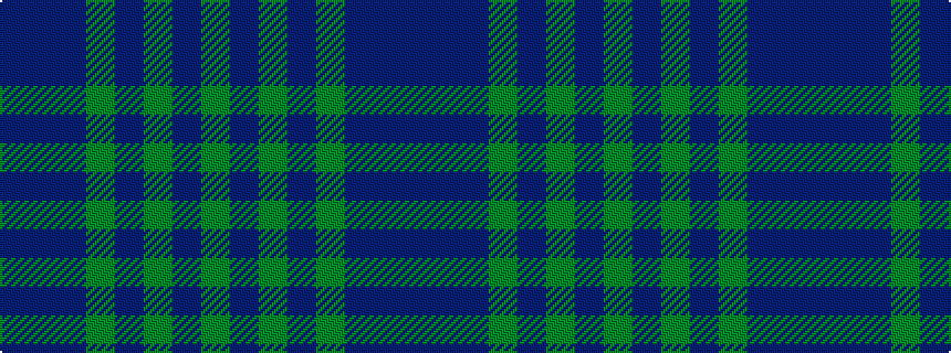 idealised woven sample of pattern BBBGBGBG
