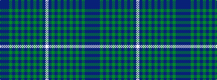 idealised woven sample of pattern BBBGBGBGBGBGBGBW