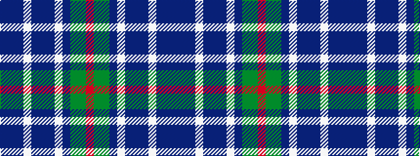 idealised woven sample of pattern BBBWBBBWBGGR