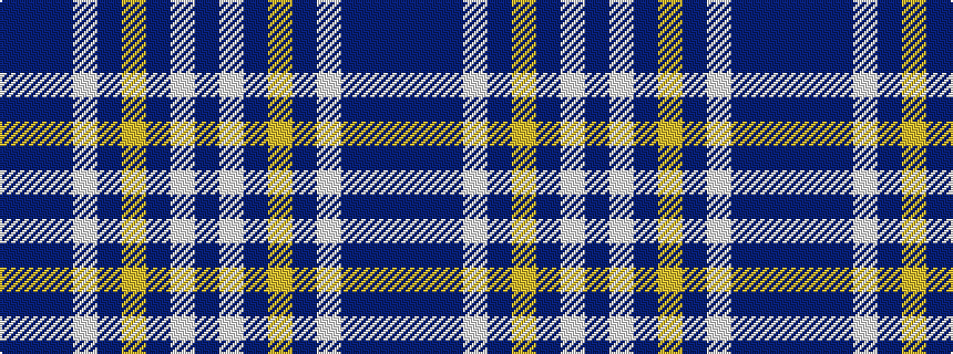idealised woven sample of pattern BBBWBYBWB