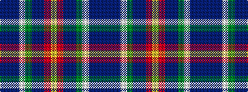 idealised woven sample of pattern BBBWGBBRY