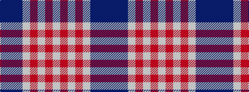 idealised woven sample of pattern BBBWRWRW
