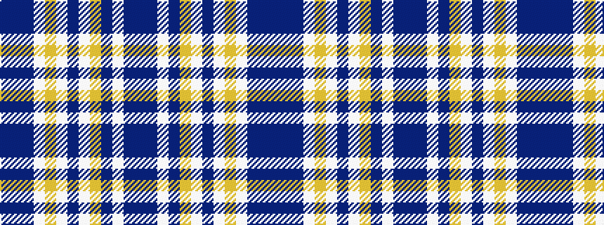 idealised woven sample of pattern BBBWYWBWYBWBB
