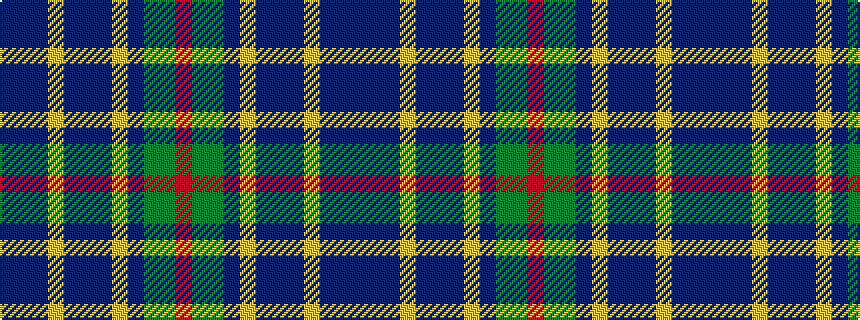 idealised woven sample of pattern BBBYBBBYBGGR