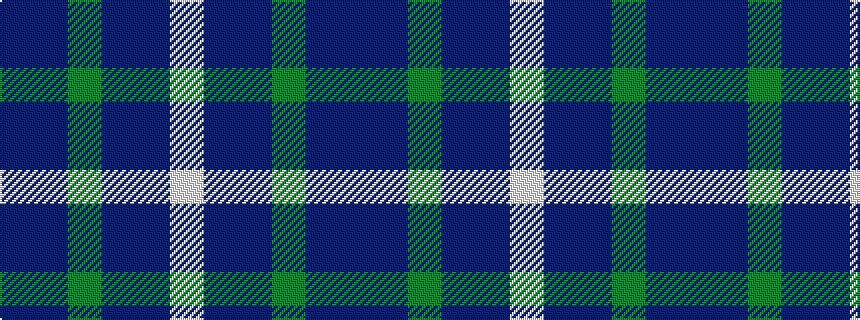 idealised woven sample of pattern BBGBBW