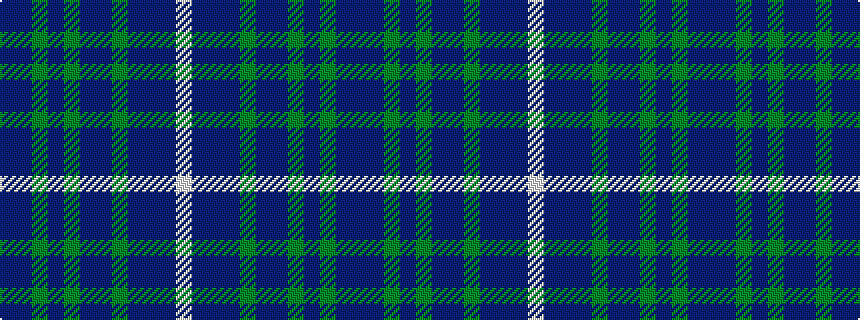 idealised woven sample of pattern BBGBGBBGBBBW