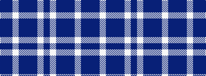 idealised woven sample of pattern BBWBBBWB