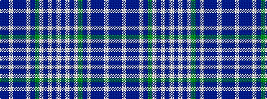 idealised woven sample of pattern BBWBBBWBGWBWBW