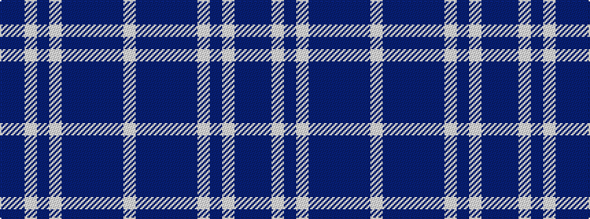 idealised woven sample of pattern BBWBWBBBBBW