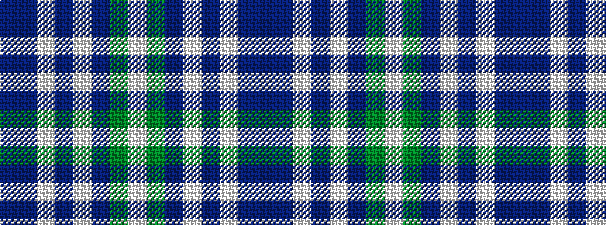 idealised woven sample of pattern BBWBWBGW