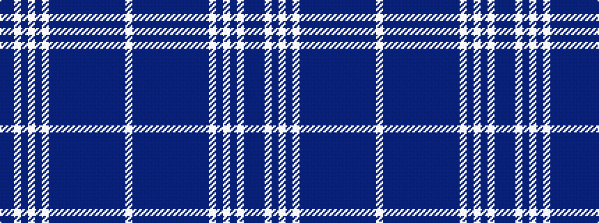 idealised woven sample of pattern BBWBWBWBBBBBBBBBBBW