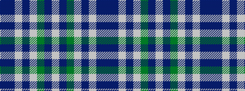 idealised woven sample of pattern BBWBWGBW