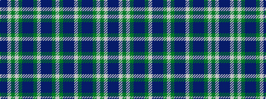 idealised woven sample of pattern BBWGWGBBBGWBBBGW