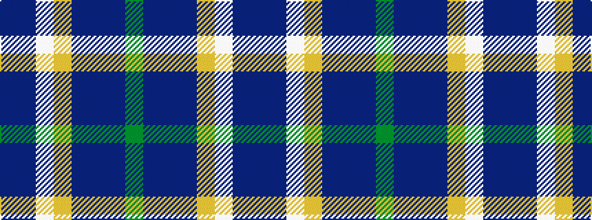 idealised woven sample of pattern BBWYBBBG