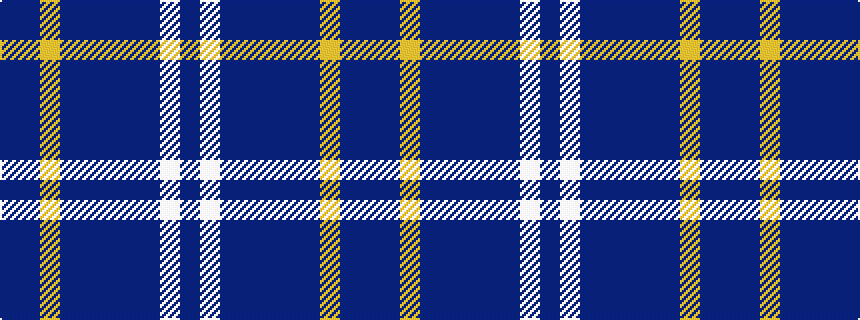 idealised woven sample of pattern BBYBBBBBWB