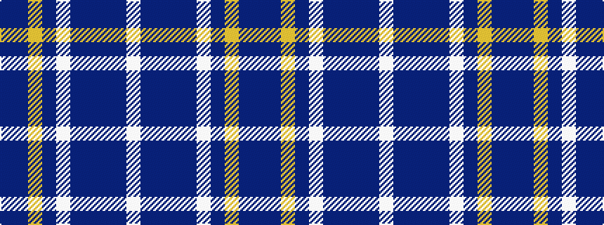 idealised woven sample of pattern BBYBWBBBBW