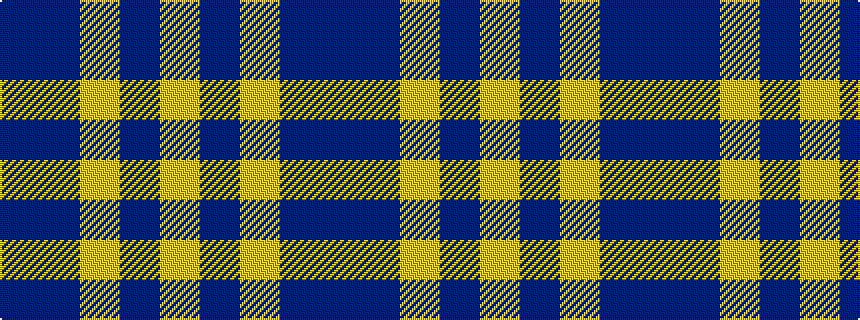 idealised woven sample of pattern BBYBY