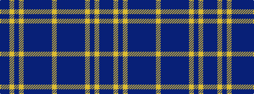 idealised woven sample of pattern BBYBYBBBBBBY