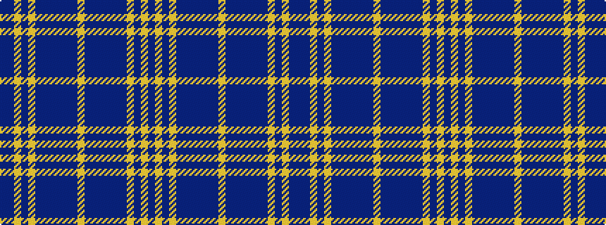 idealised woven sample of pattern BBYBYBBBBBBYBBBBBBYBYB