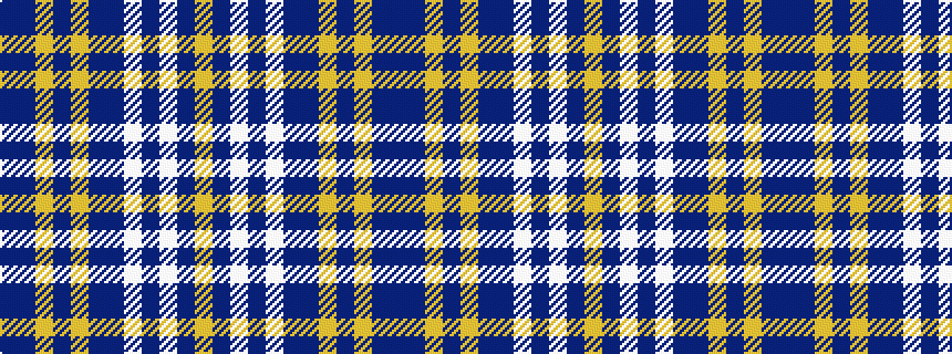 idealised woven sample of pattern BBYBYBBWBWBY