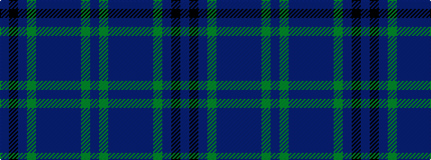idealised woven sample of pattern BGBBBBBGBKB