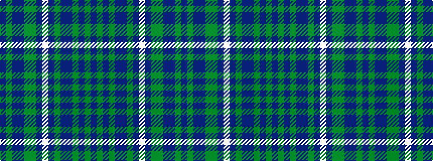 idealised woven sample of pattern BGBBGGBWBGBBGBGB