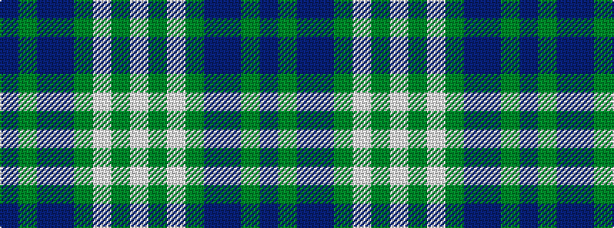 idealised woven sample of pattern BGBBGWGW
