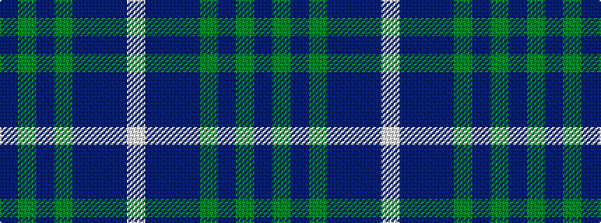 idealised woven sample of pattern BGBGBBBW