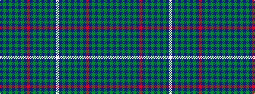 idealised woven sample of pattern BGBGBGBGBRBGBGBGBGBW