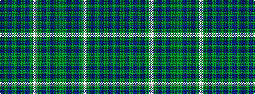 idealised woven sample of pattern BGBGBGBGWGBGBGG