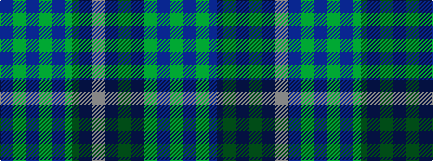 idealised woven sample of pattern BGBGBGBW