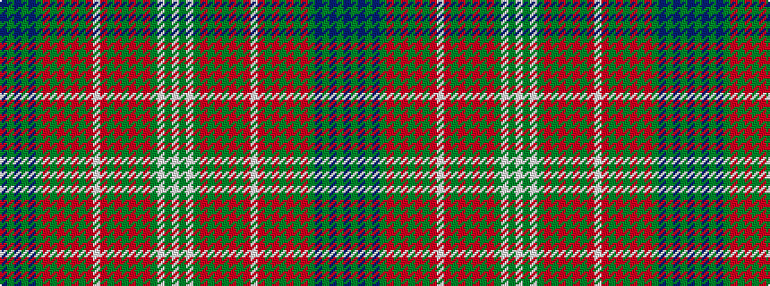 idealised woven sample of pattern BGBGBGRGRGRGRWRGRGRGRGWGW