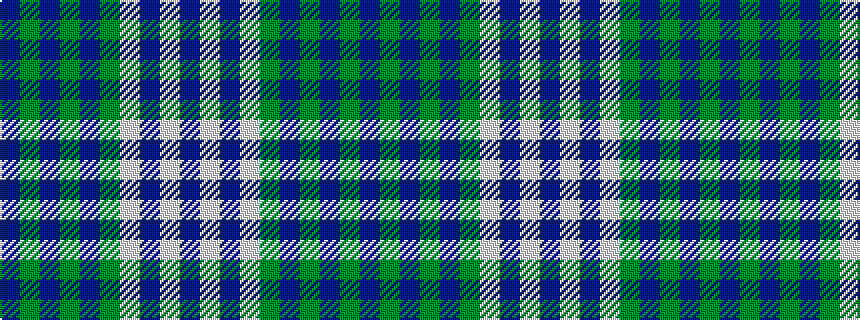 idealised woven sample of pattern BGBGBGWBWB