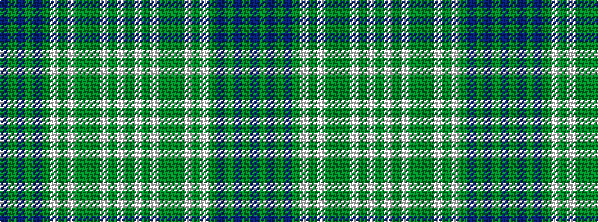 idealised woven sample of pattern BGBGBGWGWGGGWGWG