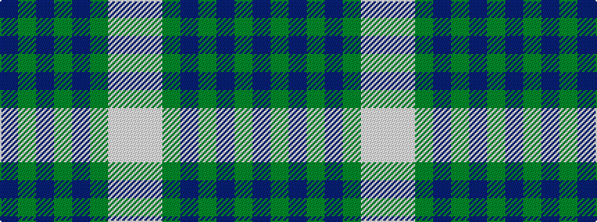 idealised woven sample of pattern BGBGBGWW