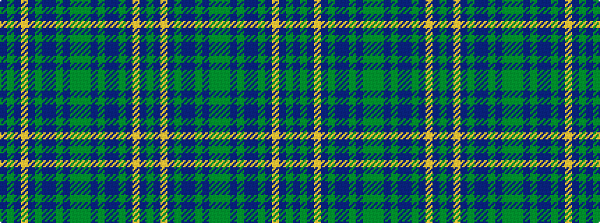 idealised woven sample of pattern BGBYBGBBGBGGGBGBBGBYBG